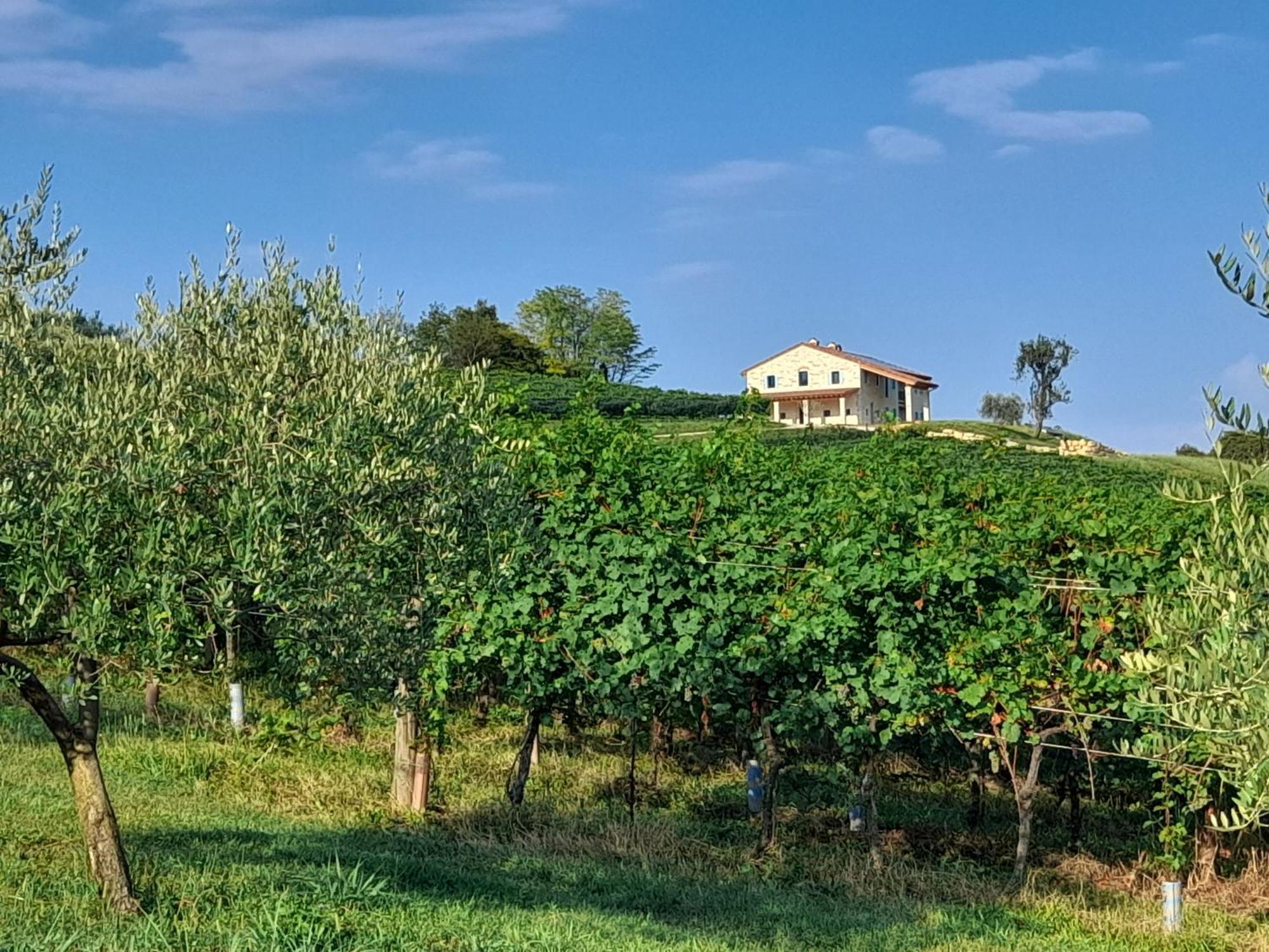 Agriturismo Riva Beata Cavaso Del Tomba Exterior foto