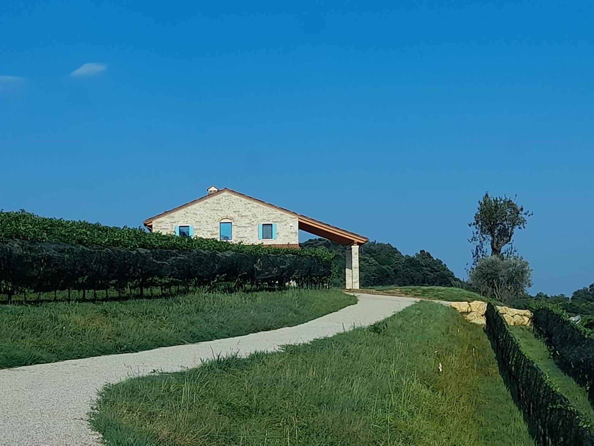 Agriturismo Riva Beata Cavaso Del Tomba Exterior foto